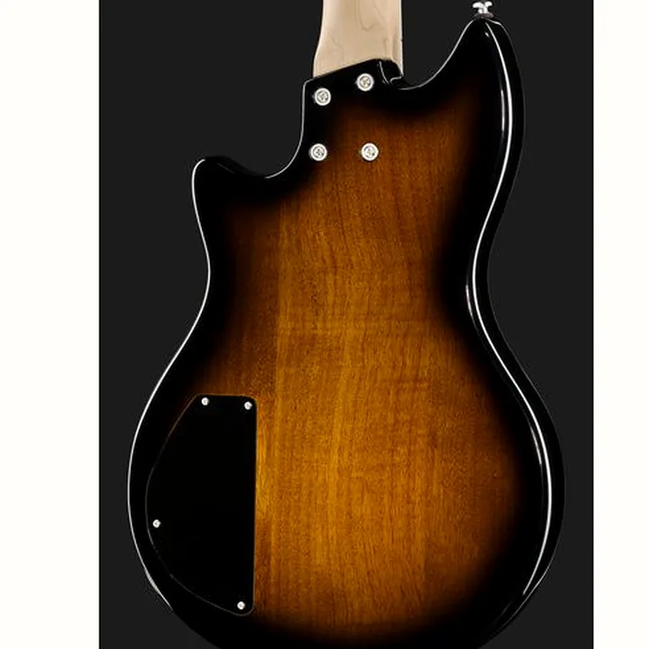 Basse électrique Lakland Skyline Hollowbody-30 4 TSG Test, Avis & Comparatif
