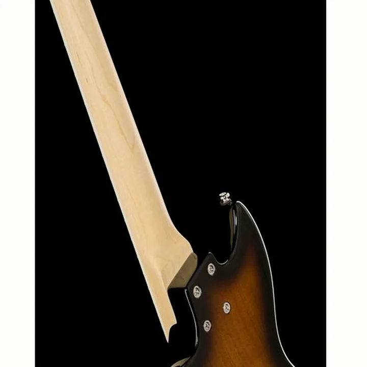 Basse électrique Lakland Skyline Hollowbody-30 4 TSG Test, Avis & Comparatif