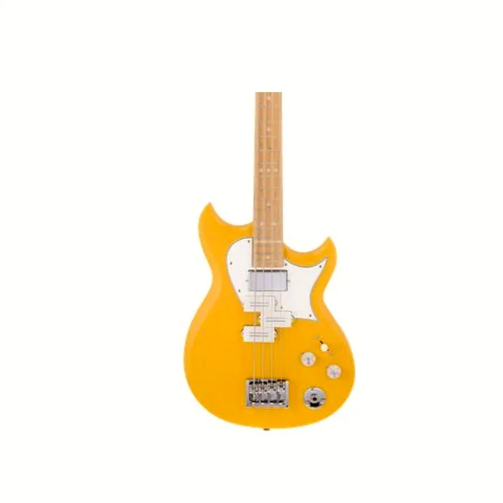 Basse électrique Reverend Mike Watt Wattplower MkII WY
