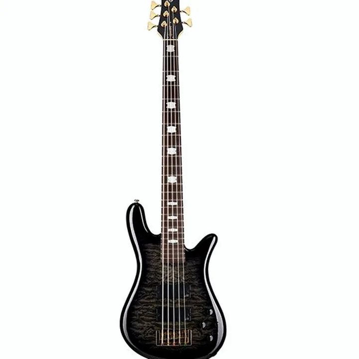 Basse électrique Spector Icon NS-5 Bolt-On BSG