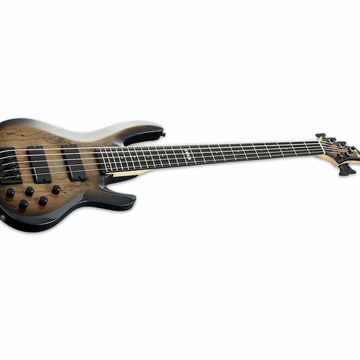 Basse ESP E-II BTL-5 Black Natural Burst Avis & Test