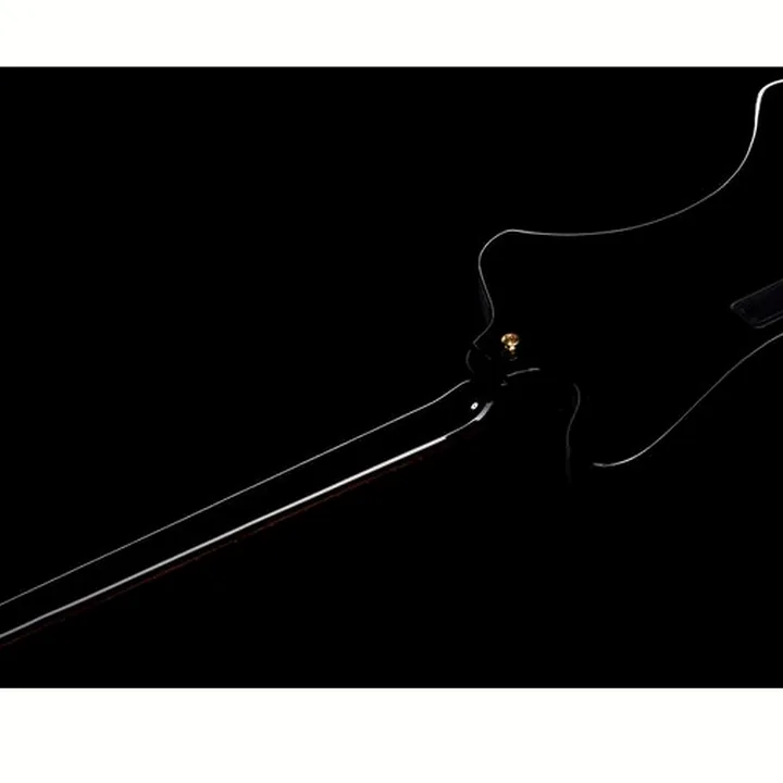 Basse Gibson Thunderbird Rex Brown Bass , Avis, Test et Comparatif