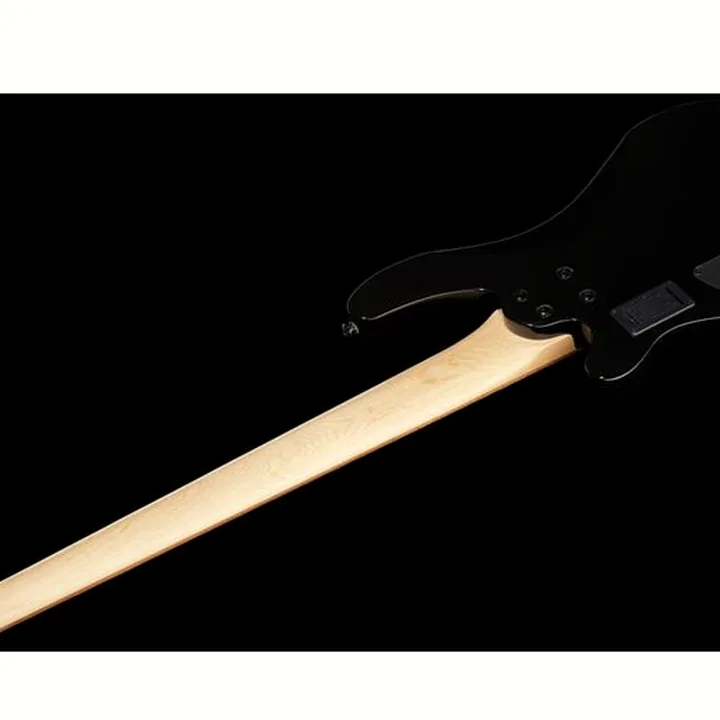 Basse Harley Benton B-550 Black Progressive Set 1 / Test, Avis
