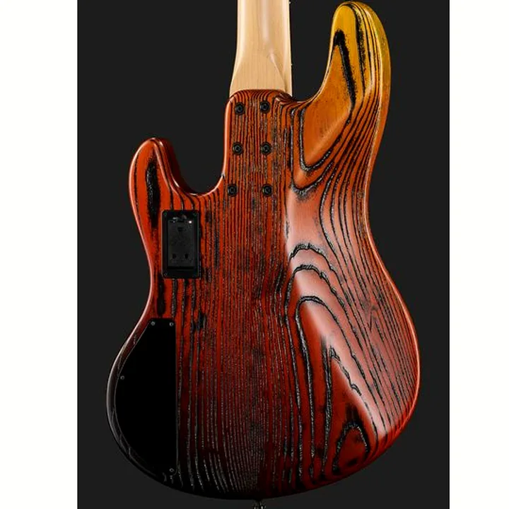 Basse Sandberg California II TM4 Zebra 3-Tone , Avis, Test et Comparatif