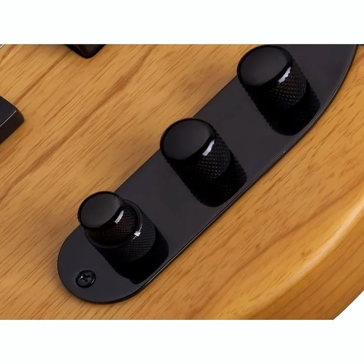 Basse Schecter Model-T Session-4 ANS Test, Comparatif, Avis