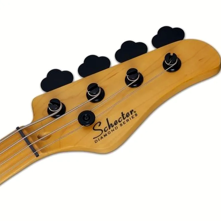 Basse Schecter Model-T Session-4 ANS Test, Comparatif, Avis