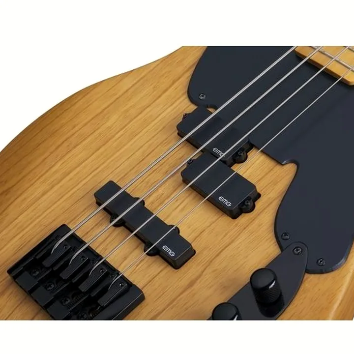 Basse Schecter Model-T Session-4 ANS Test, Comparatif, Avis