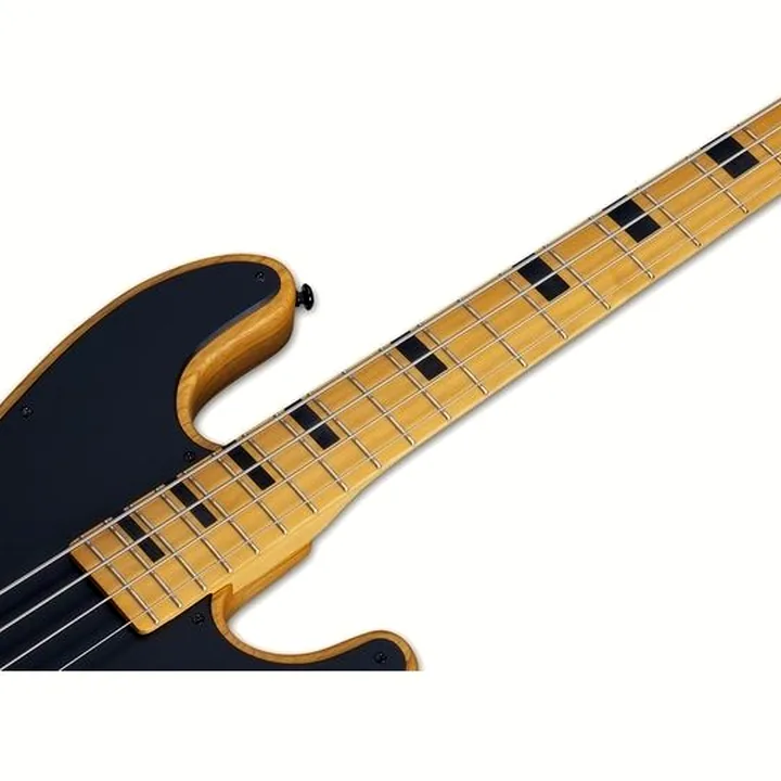 Basse Schecter Model-T Session-4 ANS Test, Comparatif, Avis