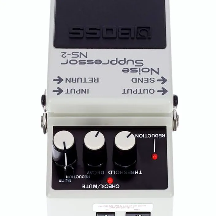 Boss NS-2