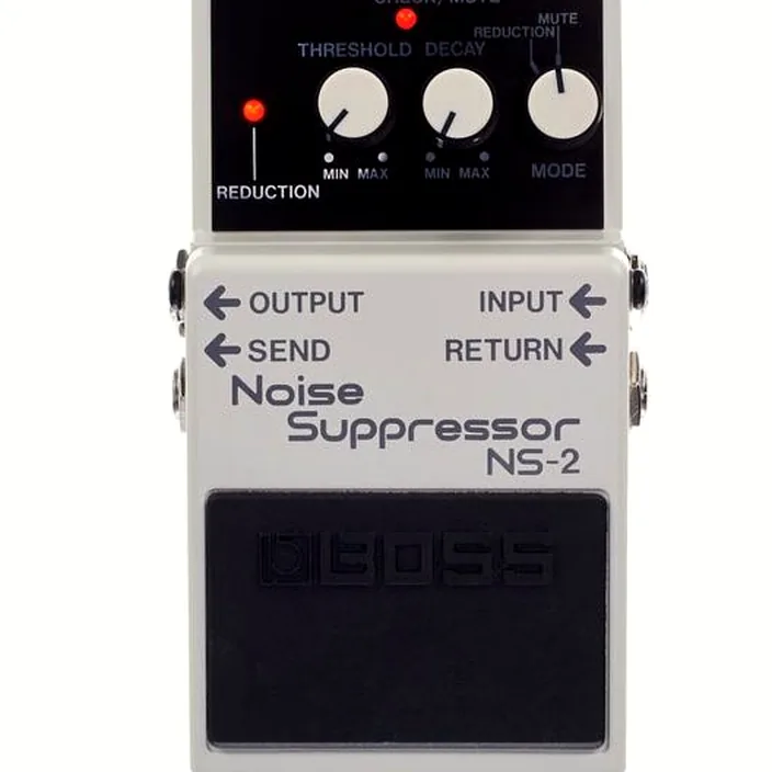 Boss NS-2