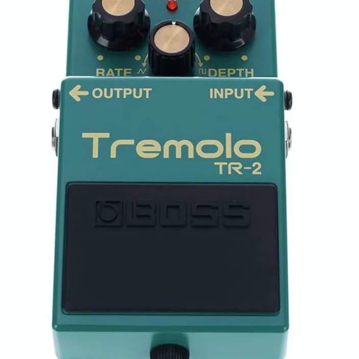 Boss TR-2