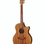 Cole Clark AN2EC-BLBL Angel : Avis & Test