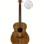 Cole Clark ANMGE-BLBL-AE Mastergrade / Comparatif, Test & Avis