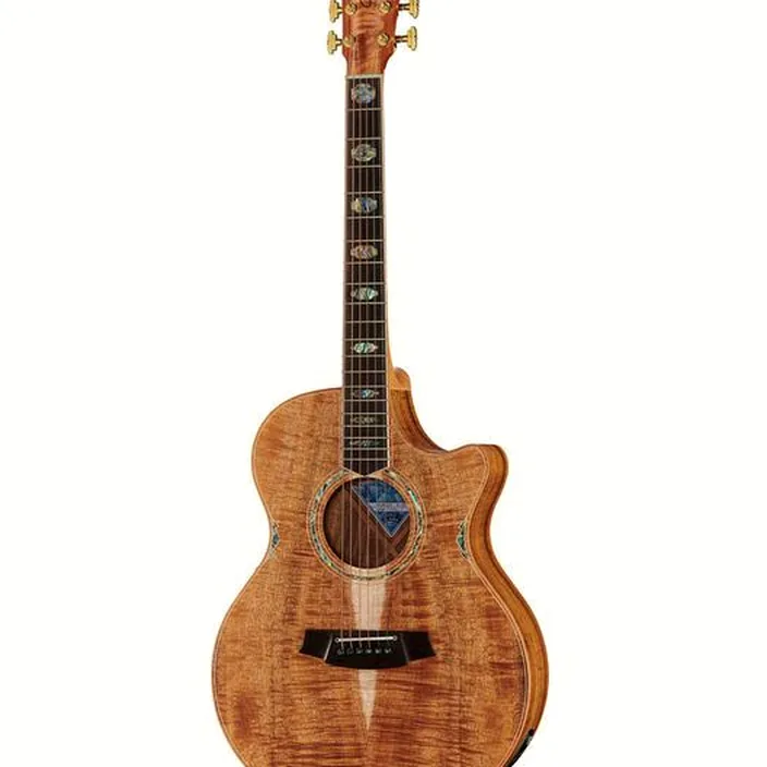 Cole Clark CCAN3EC-BLBL Natural