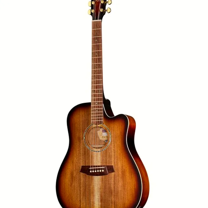 Cole Clark FL2EC-BLBL-SUN Fat Lady , Comparatif, Test et Avis
