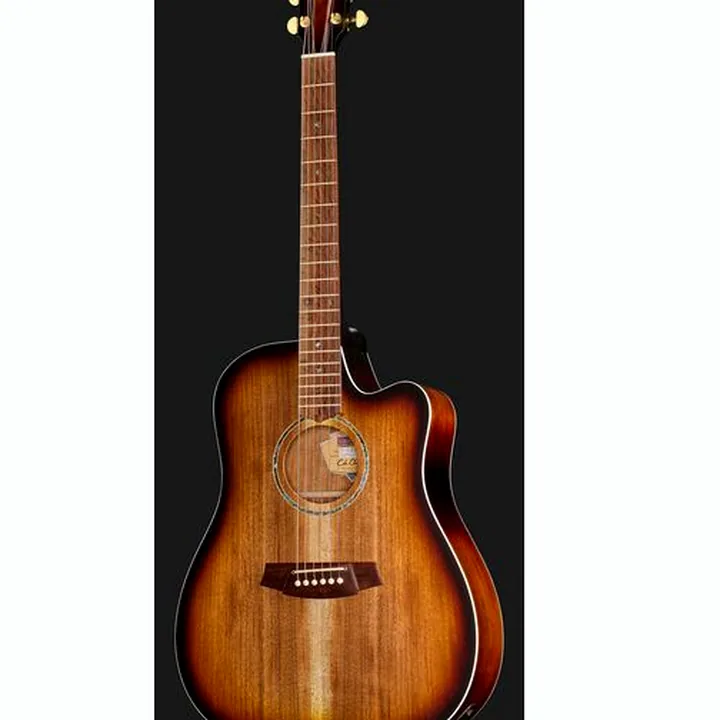 Cole Clark FL2EC-BLBL-SUN Fat Lady , Comparatif, Test et Avis