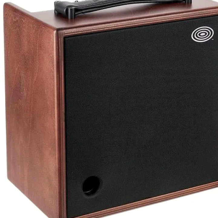Combo guitare électrique Schertler Giulia X Wood, Avis et Test