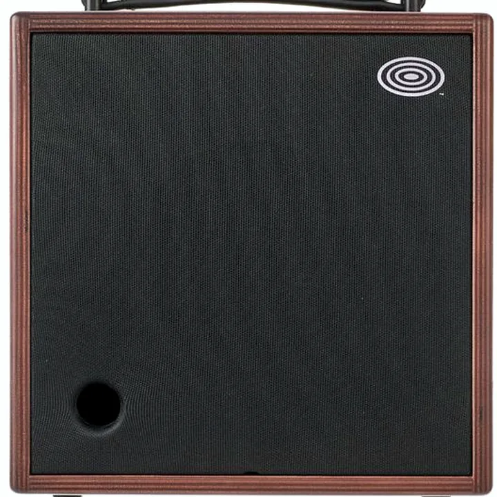Combo guitare électrique Schertler Giulia X Wood, Avis et Test