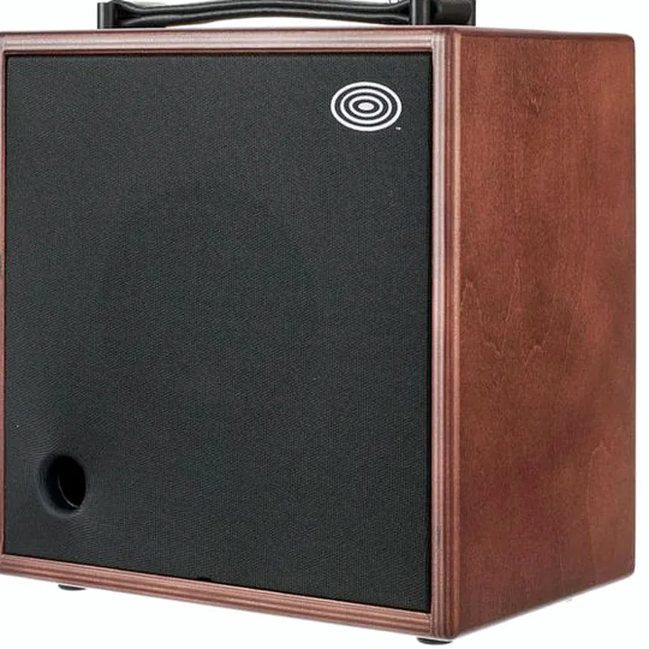 Combo guitare électrique Schertler Giulia X Wood, Avis et Test