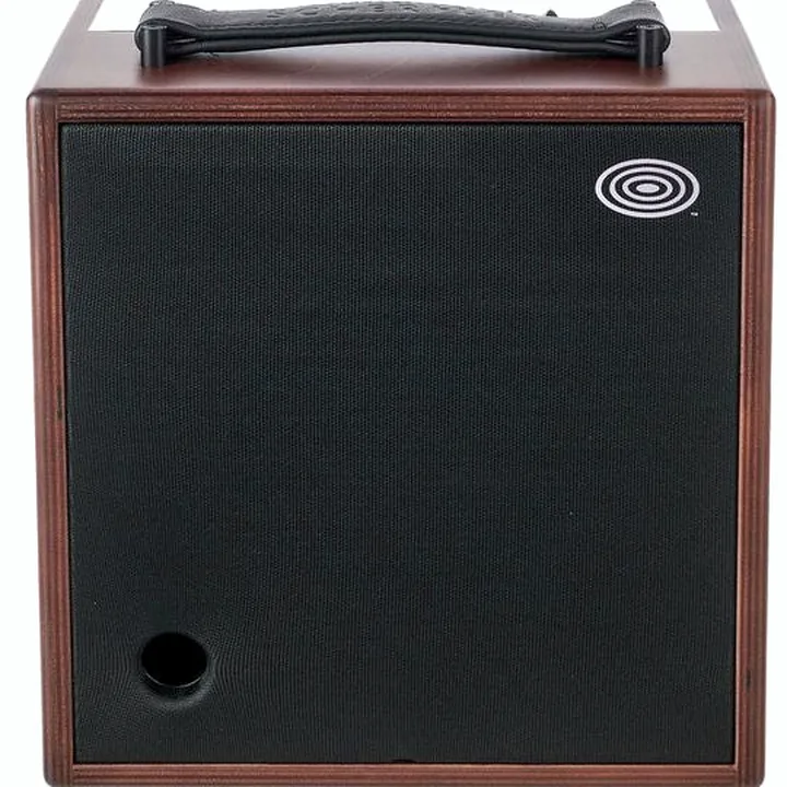 Combo guitare électrique Schertler Giulia X Wood, Avis et Test