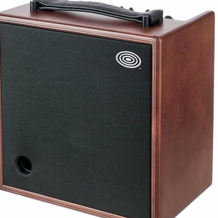 Combo guitare électrique Schertler Giulia X Wood