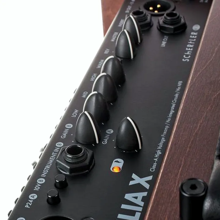 Combo guitare électrique Schertler Giulia X Wood, Avis et Test