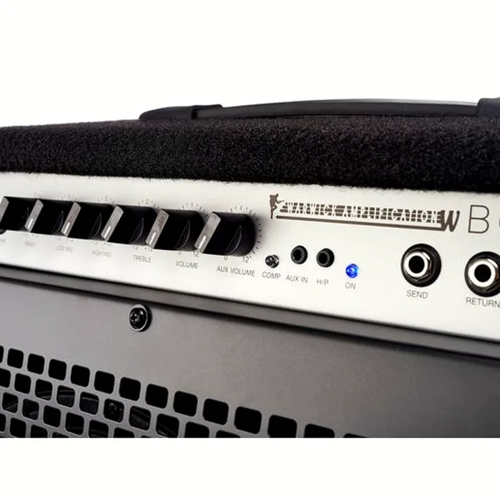 Combo pour basse électrique Warwick BC 80 : Test et Avis