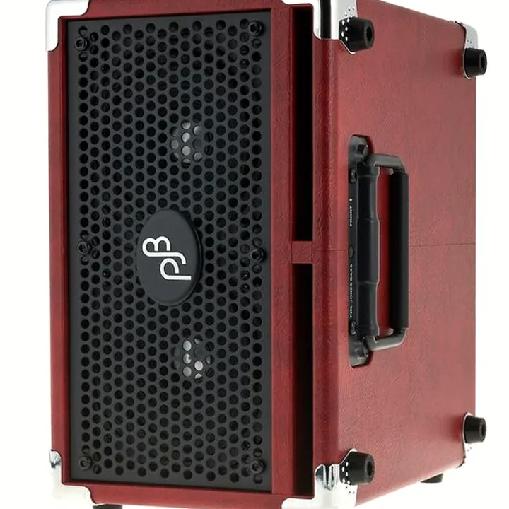 Combo pour basse Phil Jones BG-110 Bass Cub Combo : Comparatif, Test et Avis