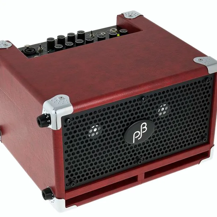 Combo pour basse Phil Jones BG-110 Bass Cub Combo : Comparatif, Test et Avis