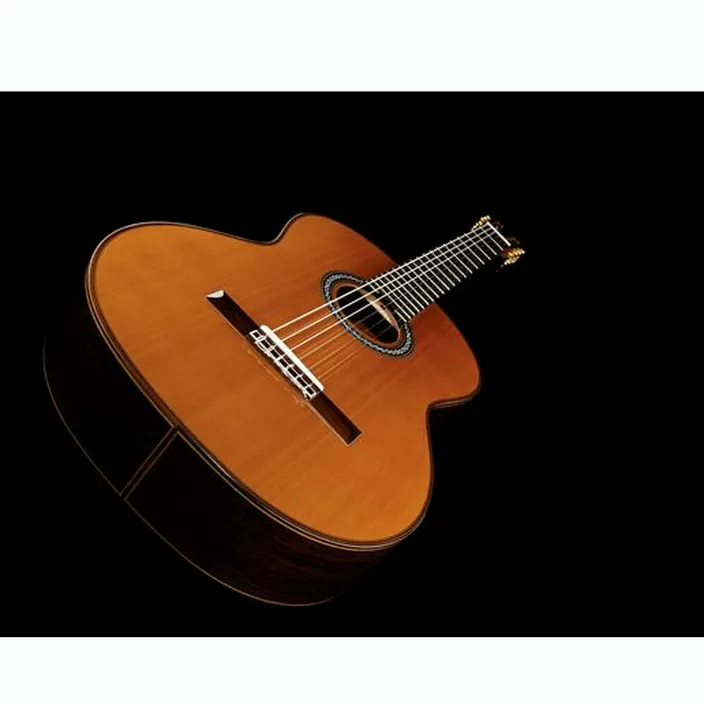 Et Avis : Cordoba C10 Cedar