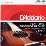 Daddario EFT17 / Avis, Test & Comparatif