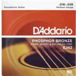 Daddario EJ42 Resophonic / Test, Avis & Comparatif