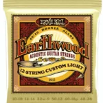Ernie Ball 2013 Earthwood Custom Bronze Avis, Test