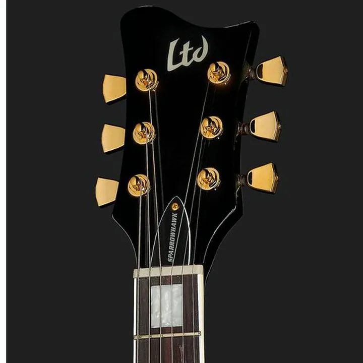 ESP LTD Sparrowhawk BLK Test, Avis et Comparatif