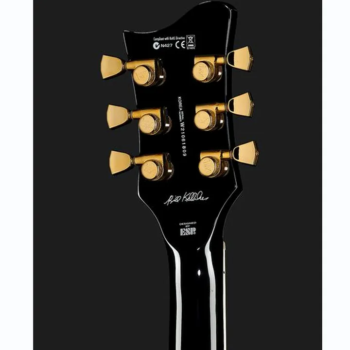ESP LTD Sparrowhawk BLK Test, Avis et Comparatif