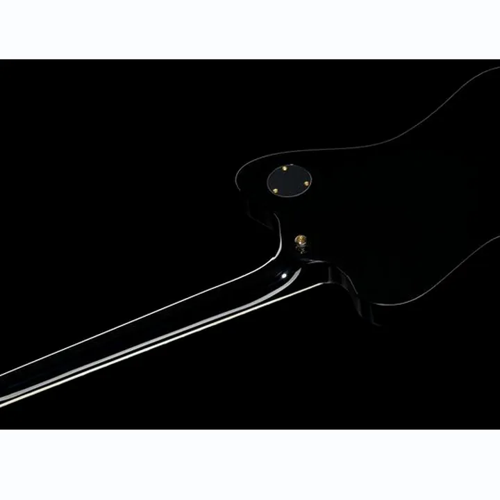ESP LTD Sparrowhawk BLK Test, Avis et Comparatif