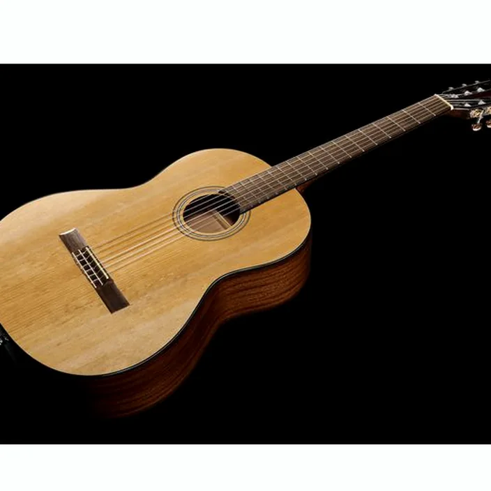 Et Avis : Fender CN-60S Natural WN