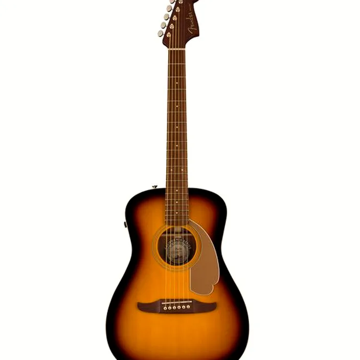 Fender Malibu Player Sunburst WN