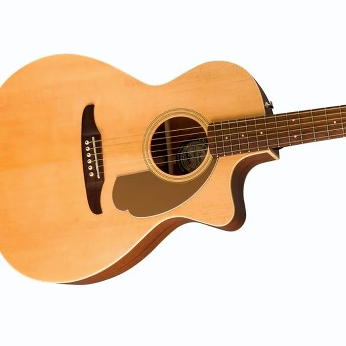 Et Avis : Fender Newporter Player NAT WN