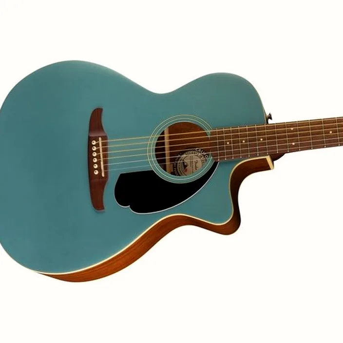 Fender Newporter Player TPL WN / Avis et Test