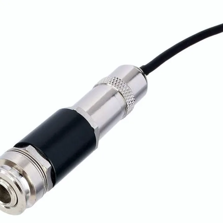 Fishman Rare Earth Mic Blend / Avis & Test