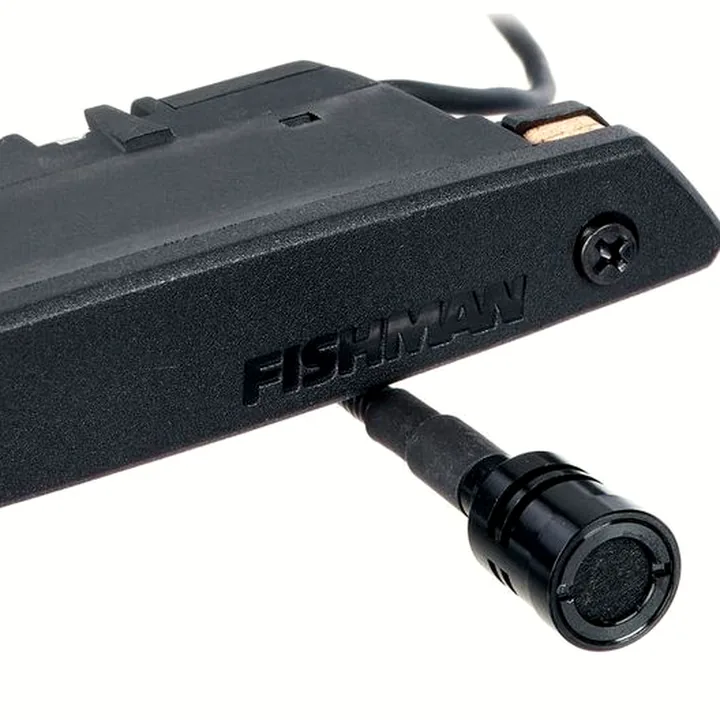 Fishman Rare Earth Mic Blend / Avis & Test