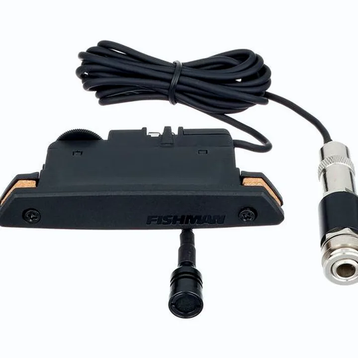 Fishman Rare Earth Mic Blend / Avis & Test