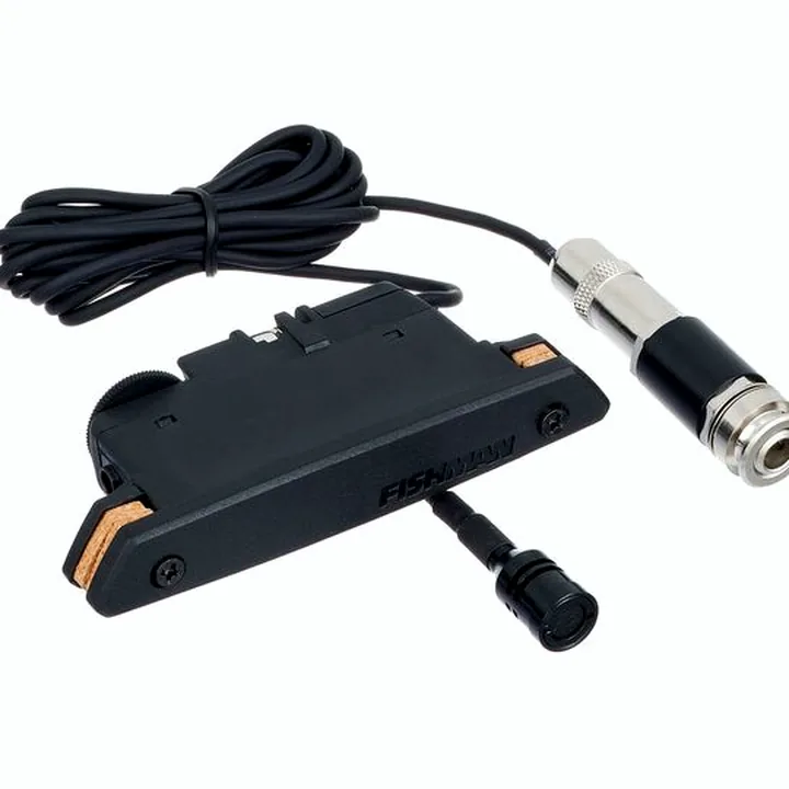 Fishman Rare Earth Mic Blend / Avis & Test