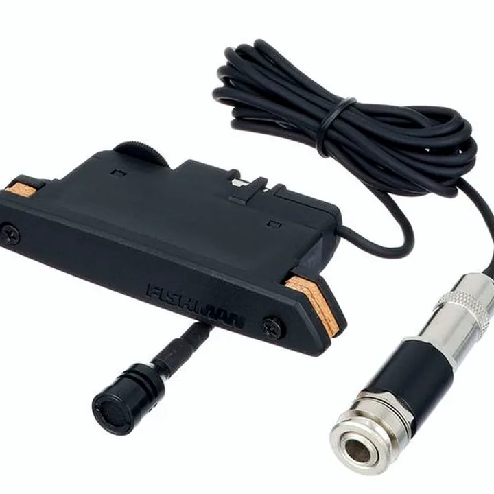 Fishman Rare Earth Mic Blend