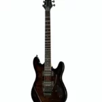 Test et Avis Framus D-Series Diablo Prog X NBK