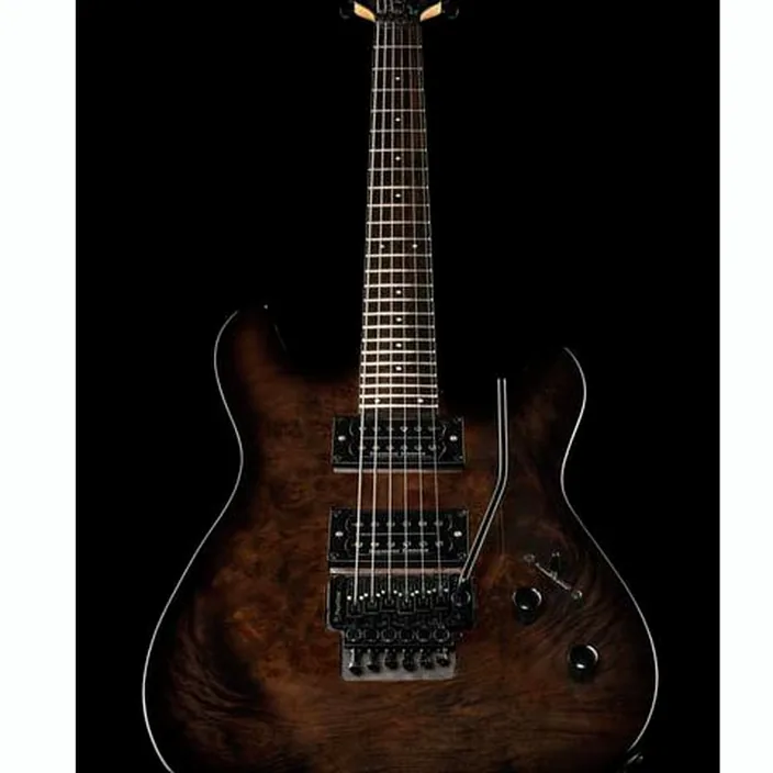 Et Avis Framus D-Series Diablo Prog X NBK