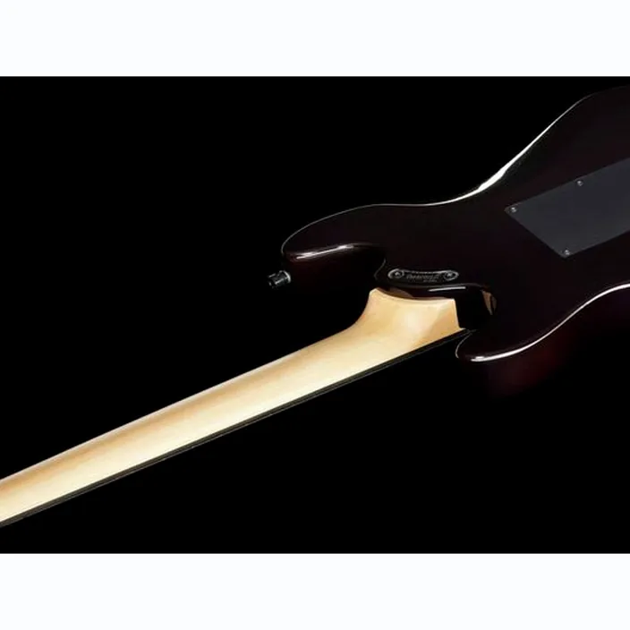 Et Avis Framus D-Series Diablo Prog X NBK
