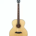 Framus Legacy FJ 14 SV Jumbo VNT / Test, Comparatif & Avis