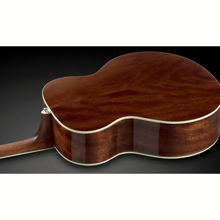 Framus Legacy Series FJ14 M Jumbo SB / Avis, Comparatif et Test